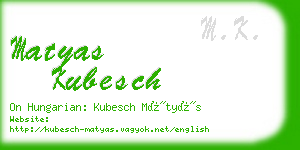 matyas kubesch business card